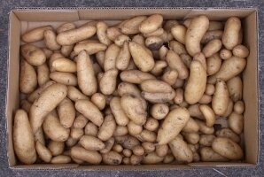 Liepos pradžioje Lietuvoje išaugintų ankstyvųjų bulvių ir kopūstų pasiūla buvo pakankama