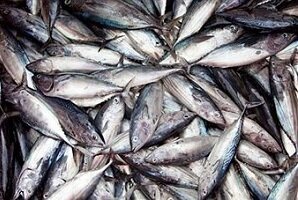 Parama Lietuvos žvejams neturėtų mažėti