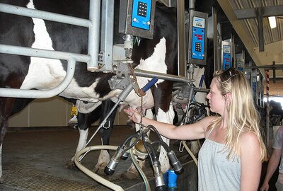 Europos pieno gamintojai susirūpinę dėl savo ateities